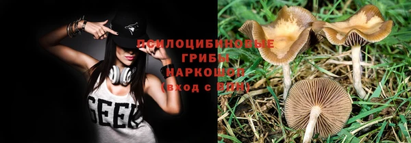 ALPHA-PVP Белокуриха
