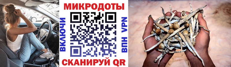 кракен зеркало  Ершов  Псилоцибиновые грибы Magic Shrooms  купить наркоту 